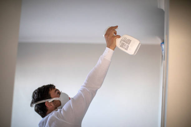 Best Mold Remediation for Specific Building Types in Alhambra, CA