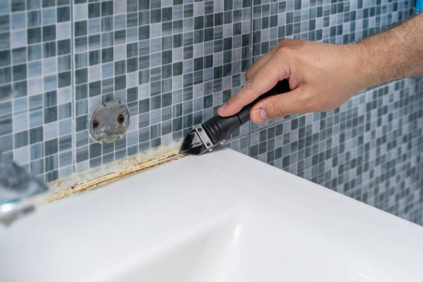 Best Black Mold Remediation in Alhambra, CA
